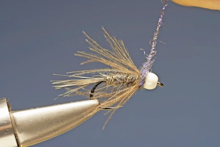 brite_collar_bug-8