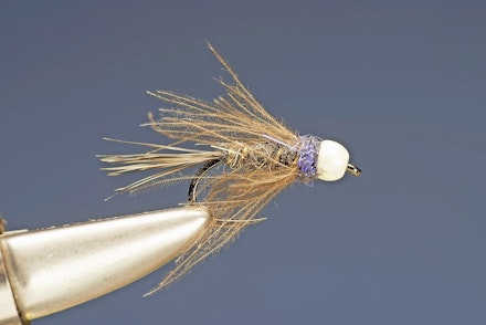 brite_collar_bug-9