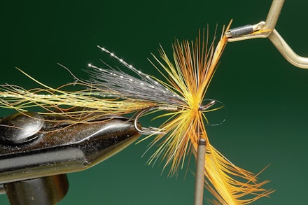 cascade-20