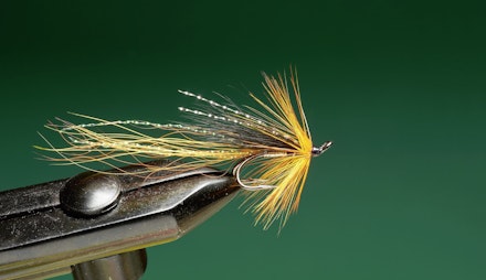 cascade-22