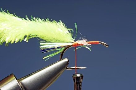 hot-coral_blob-2