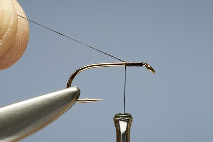 quill_buzzer-1