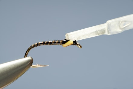 quill_buzzer-10