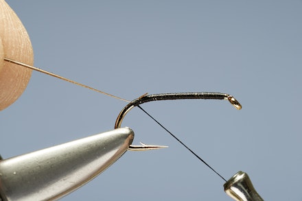 quill_buzzer-2