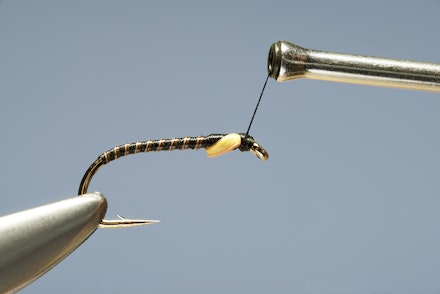 quill_buzzer-9