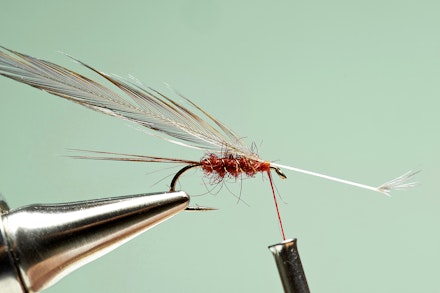 universal_spinner-6