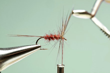 universal_spinner-7