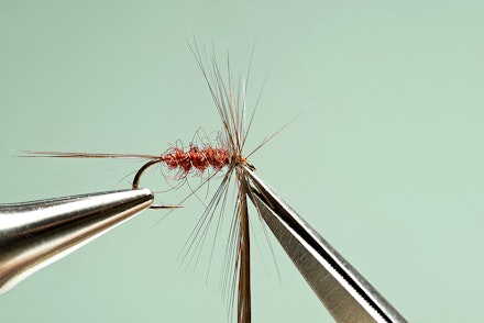 universal_spinner-8