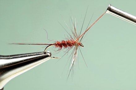 universal_spinner-9