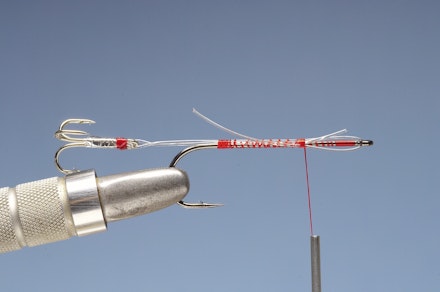 Jambo-3