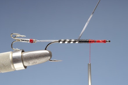 Jambo-5