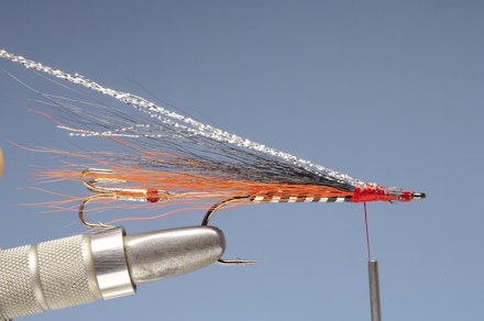 Jambo-6