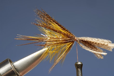 UV_gold_dabbler-7
