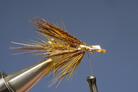 UV_gold_dabbler-8