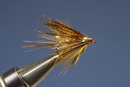 UV_gold_dabbler-9