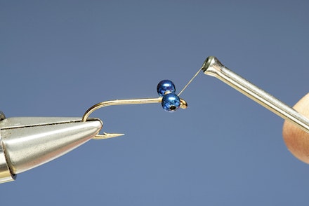 blue_flash_damsel-1