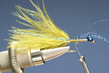 blue_flash_damsel-3