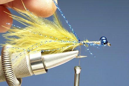 blue_flash_damsel-4