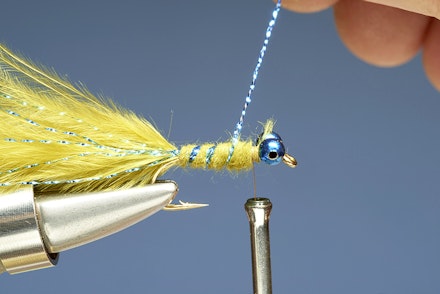blue_flash_damsel-6