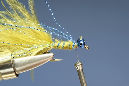 blue_flash_damsel-7