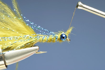 blue_flash_damsel-8