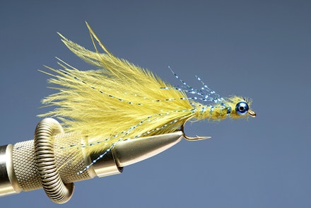 blue_flash_damsel-9
