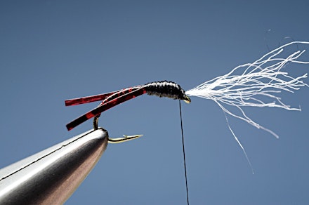 headley_buzzer-13.-1