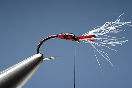 headley_buzzer-14.-1