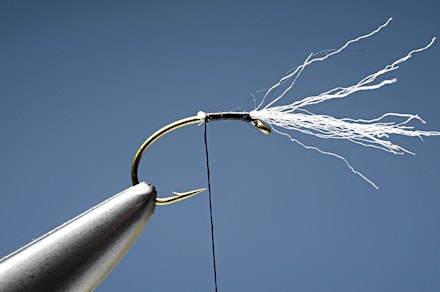 headley_buzzer-2.-1