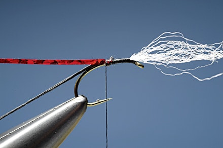 headley_buzzer-3.-1