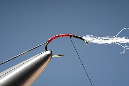 headley_buzzer-6.-1