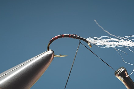headley_buzzer-8.-1