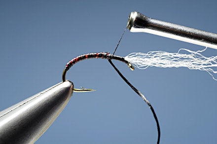 headley_buzzer-9.-1