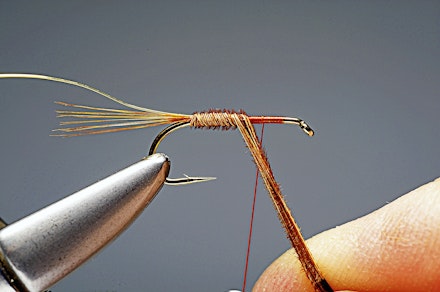 red_t_cruncher-3-1