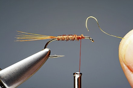 red_t_cruncher-5-1