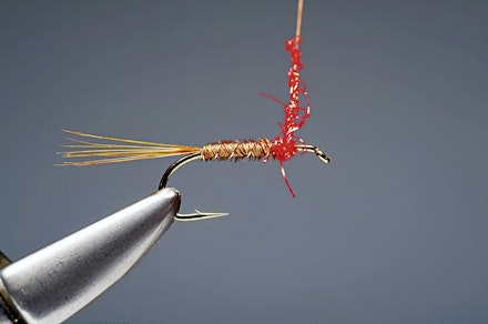 red_t_cruncher-6-1
