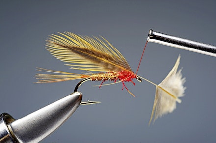 red_t_cruncher-7-1