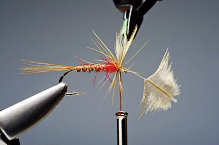 red_t_cruncher-8-1
