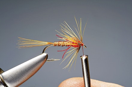 red_t_cruncher-9-1