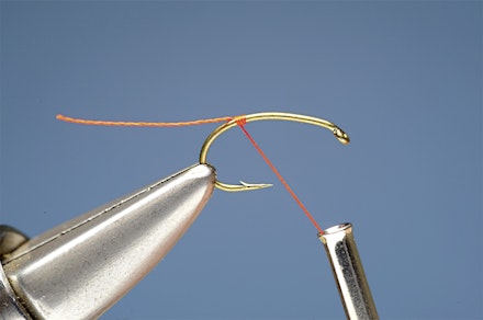 doobry_sn-1-1