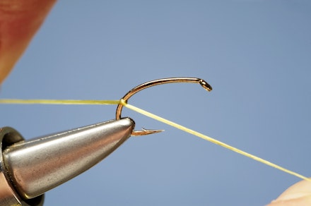 spanthrax_buzzer-1