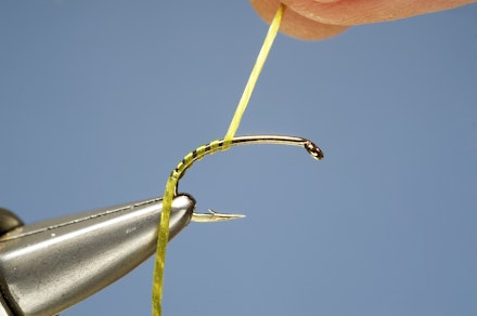 spanthrax_buzzer-2