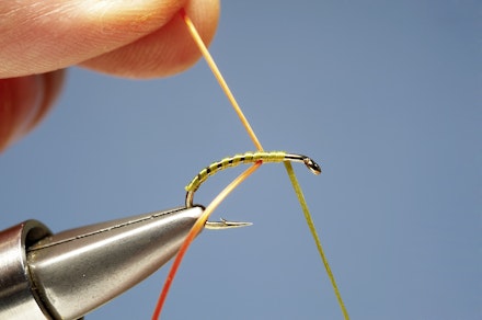 spanthrax_buzzer-5