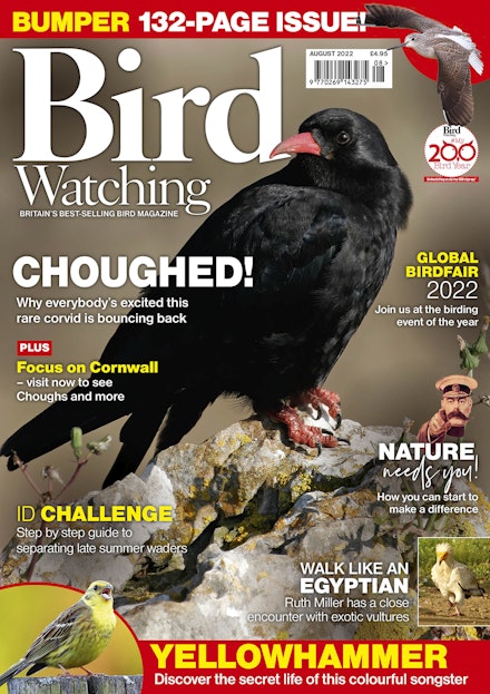 BW-August-22-cover-half-size-passed