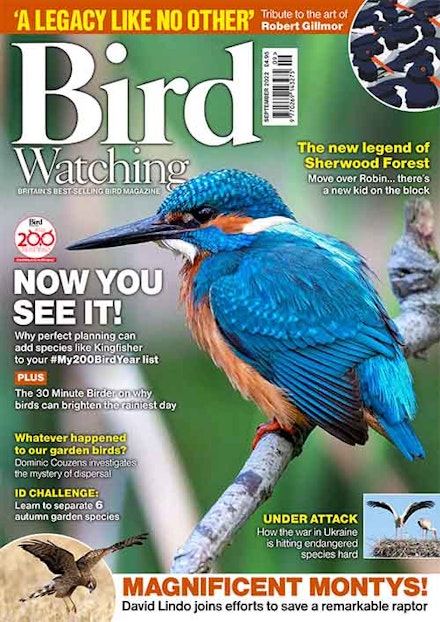 Cover-Low-res-PDF-copy Bird Watching September 2022 cover