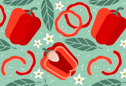 18-weeks-pregnant-baby-size-bell-pepper how big is my baby comparison image