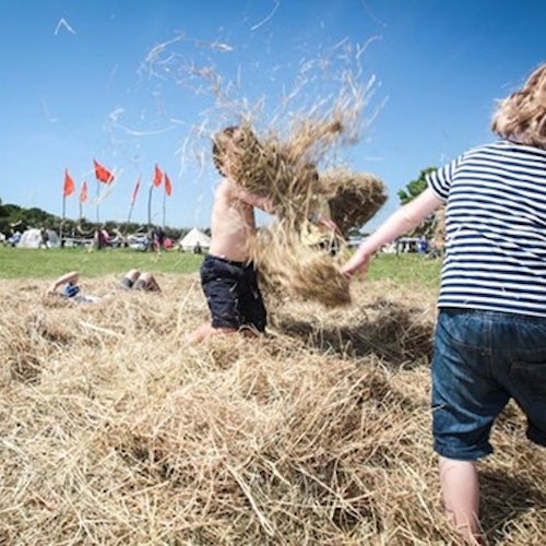 Elderflower Fields Festival, East Sussex