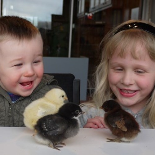 Almond Valley Heritage Centre, West Lothian