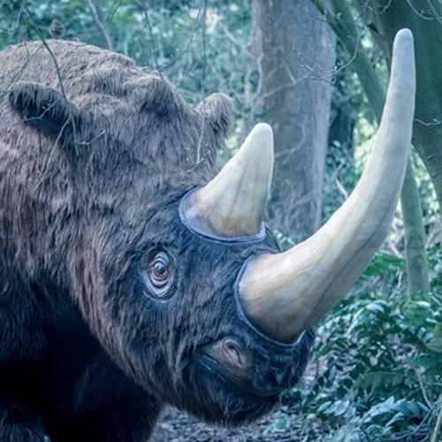 Animals of the Ice Age at Howletts Wild Animal Park, Canterbury