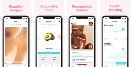 pregnancy1 pregnancy1